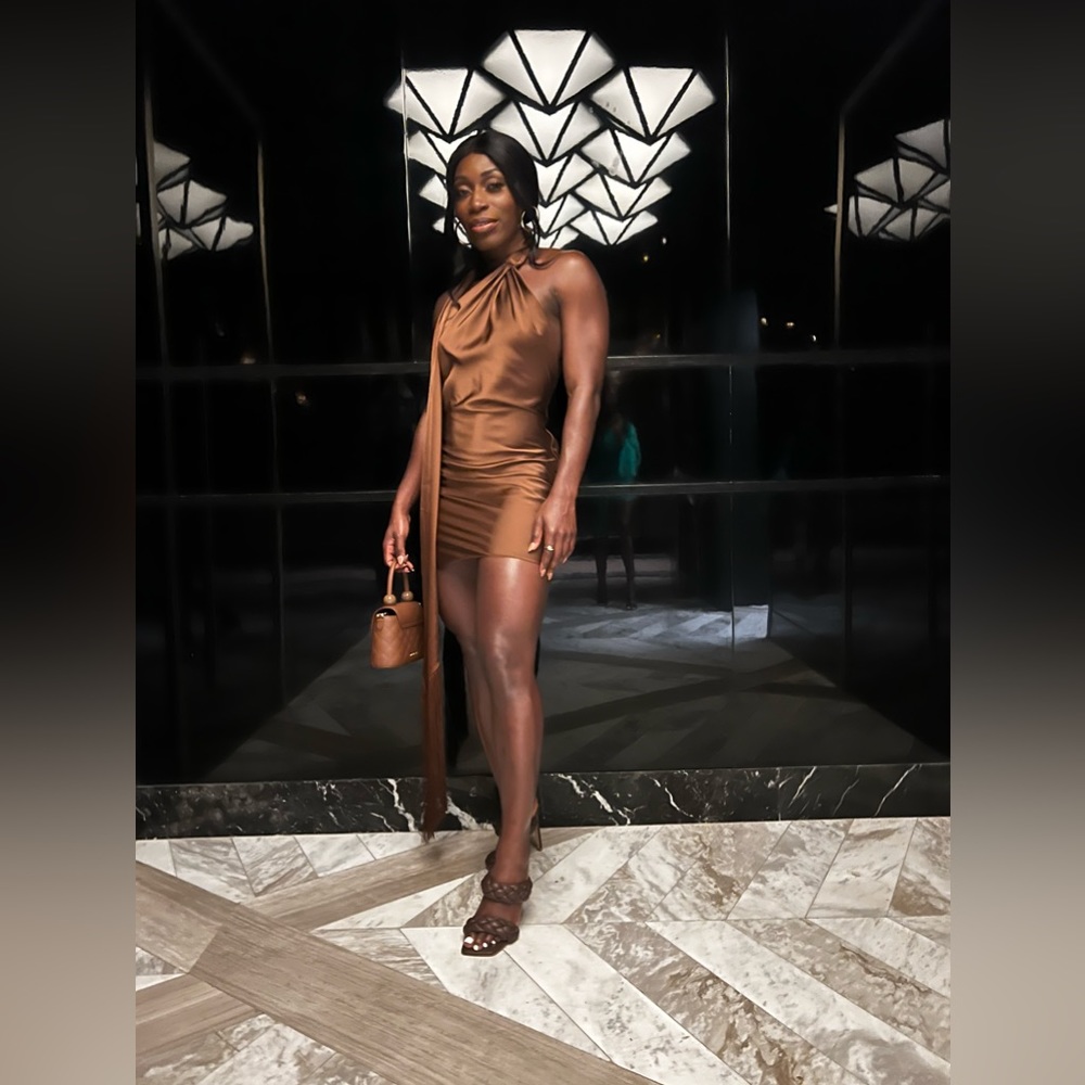 Rat & Boa Serafia Dress - Brown